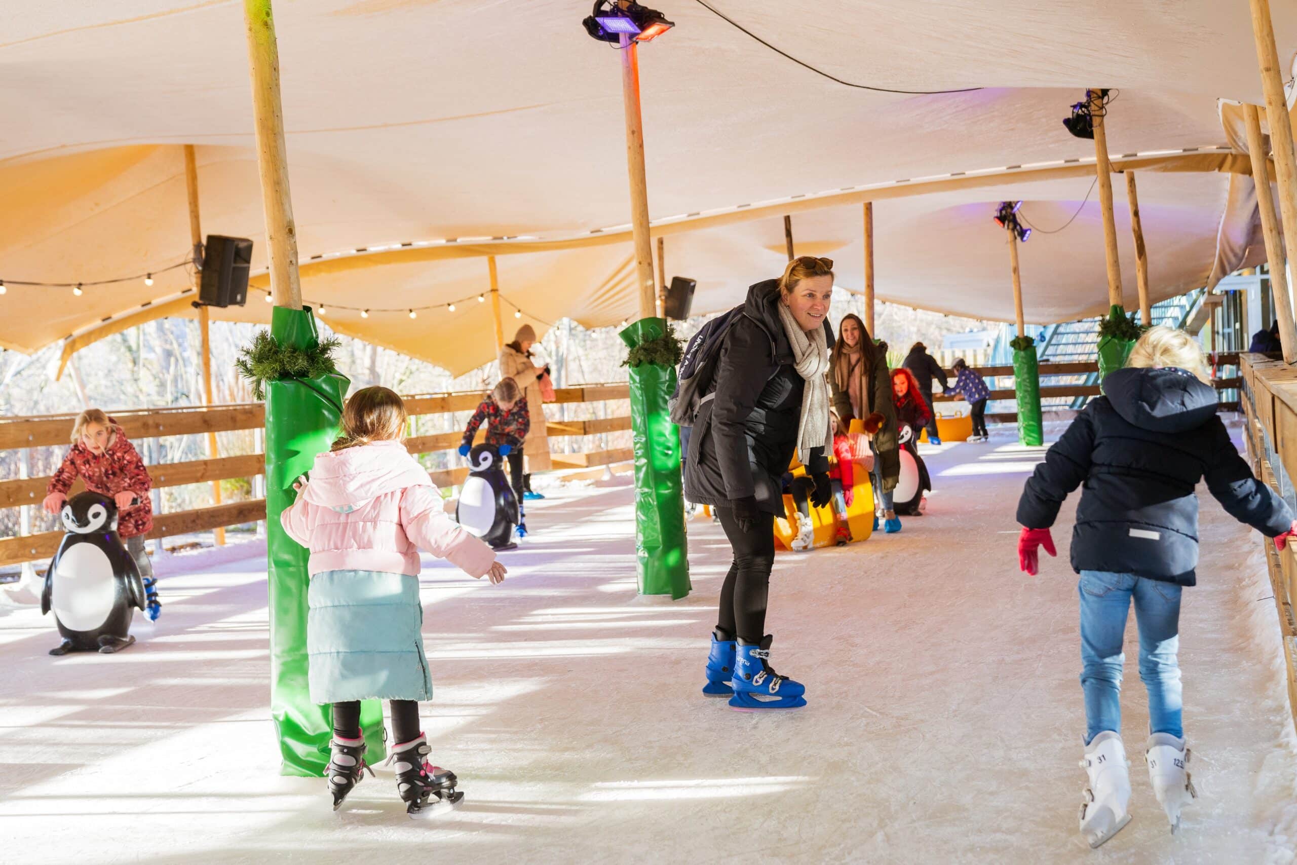 Geniet van de winterpret op de overdekte schaatsbaan
