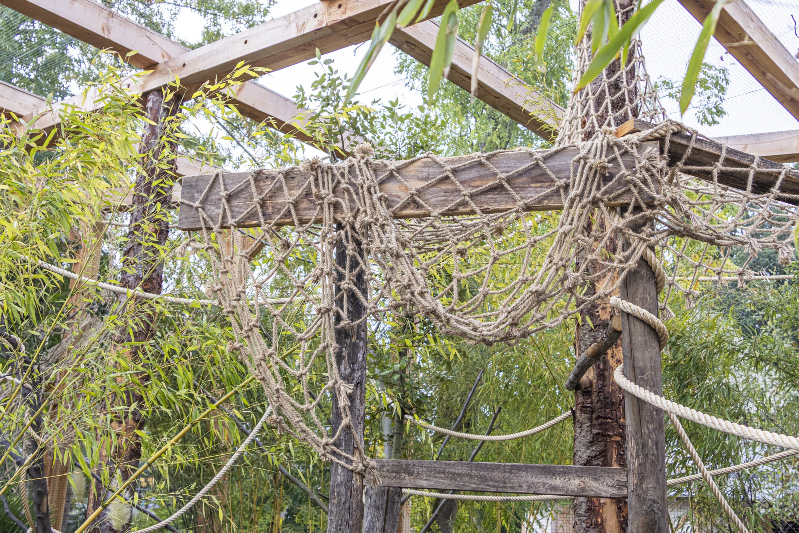 Opening Makandra: 28 maart